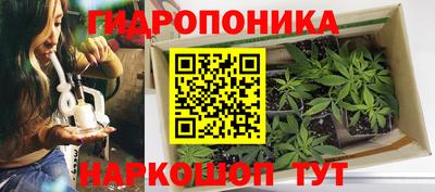 a pvp Кумертау