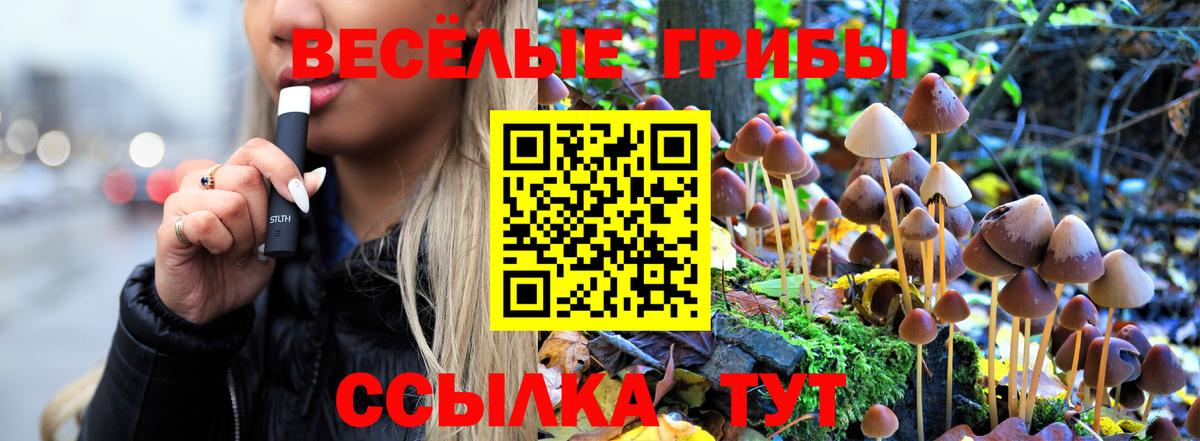 Каменск-Шахтинский  Галлюциногенные грибы GOLDEN TEACHER  Галлюциногенные грибы Psilocybe  Вход с VPN 